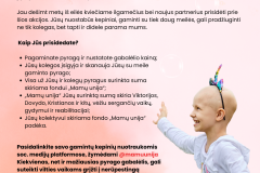 Pyragų diena plakatas - 2